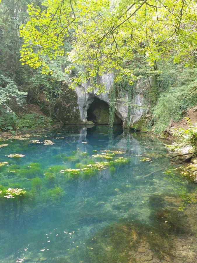 Vila Vera Borsko Jezero Экстерьер фото